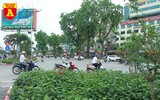 Trồng cây cảnh, phủ xanh dải phân cách ở đường Kim Mã